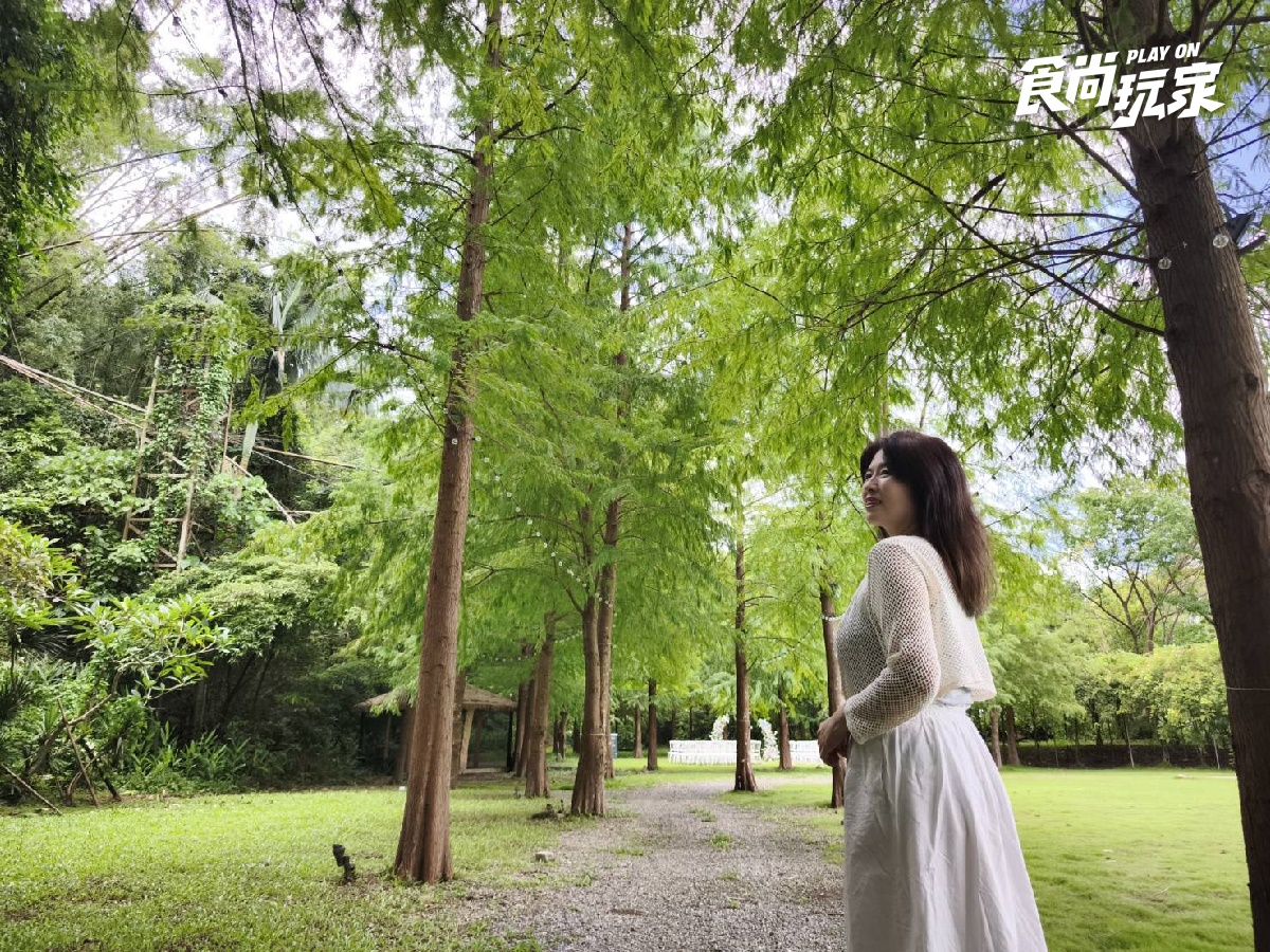 絕美白色教堂、7000坪落羽松園區！台北最美祕境餐廳，８大打卡點一次看