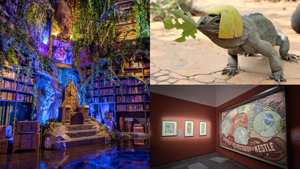 台南中秋旅遊攻略！慕夏展、動漫市集、火舞秀必玩，消費滿50元抽電動車