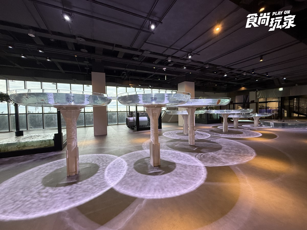 秀證件免費參觀!「台中海洋館」開幕週年10月天天享優惠,美拍7大主題展區 秀證件免費參觀!「台中海洋館」開幕週年10月天天享優惠,美拍7大主題展區
