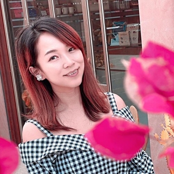 豬飛小姐的彩色生活