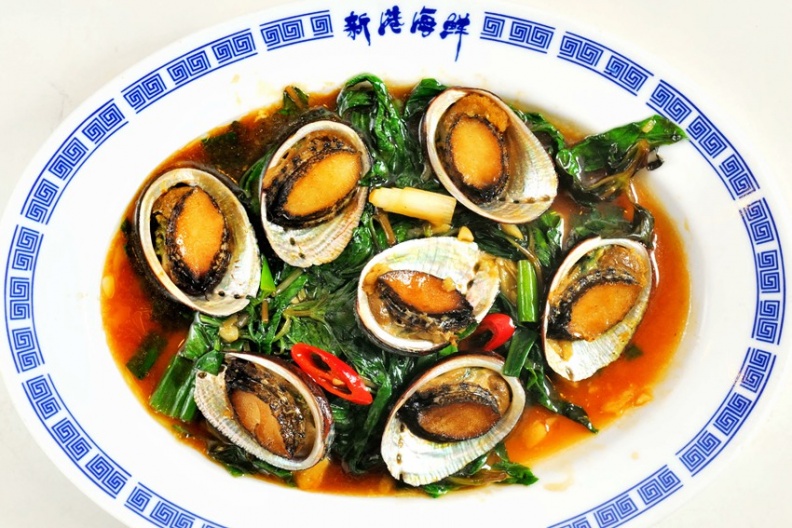 新港A0041508.jpg