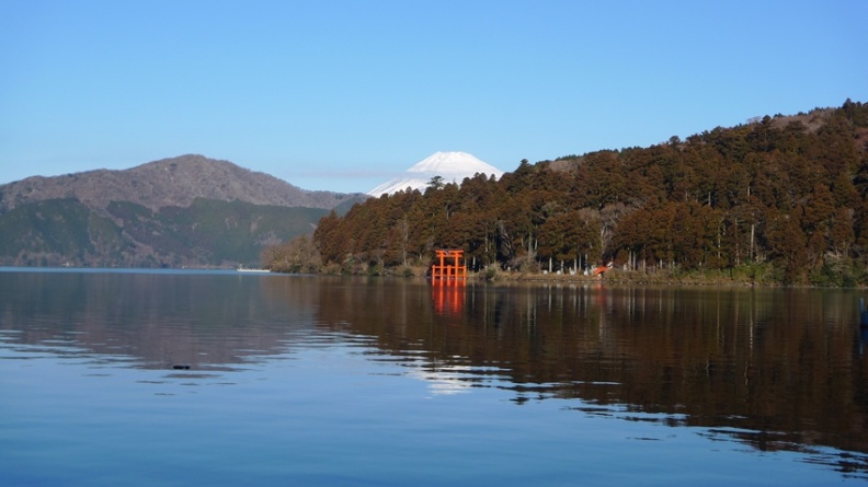 箱根神社 鳥居.jpg