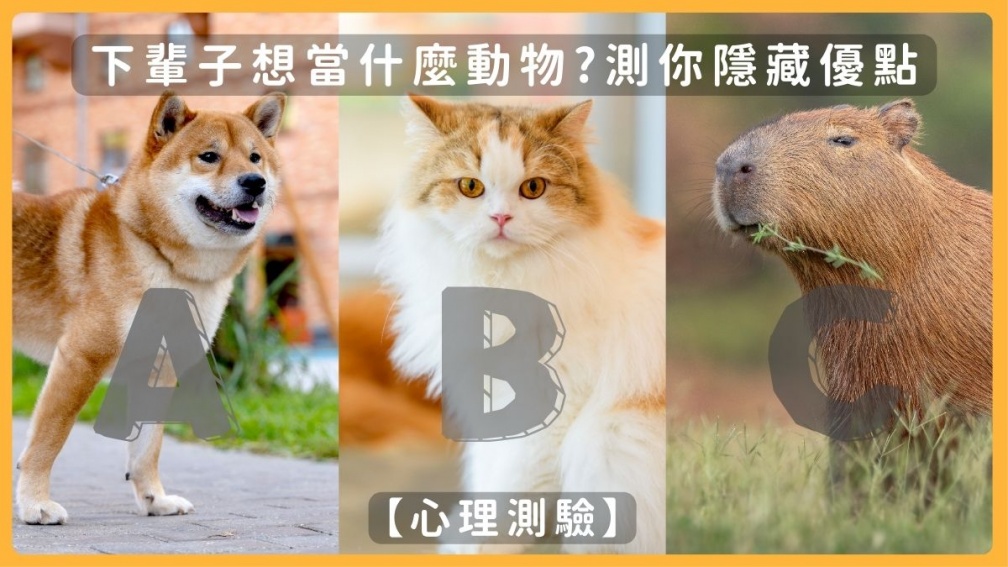 下輩子想當哪種動物？１張圖測出你的隱藏優點，選「牠」最受同事歡迎