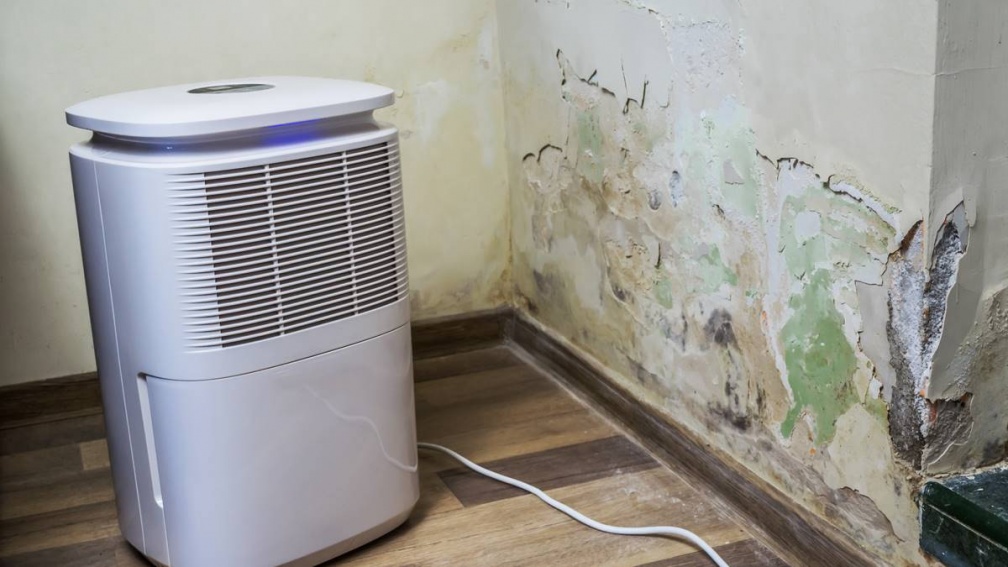 一直開除濕機會很耗電嗎？台電授４招省電秘訣：讓你年省8%用電