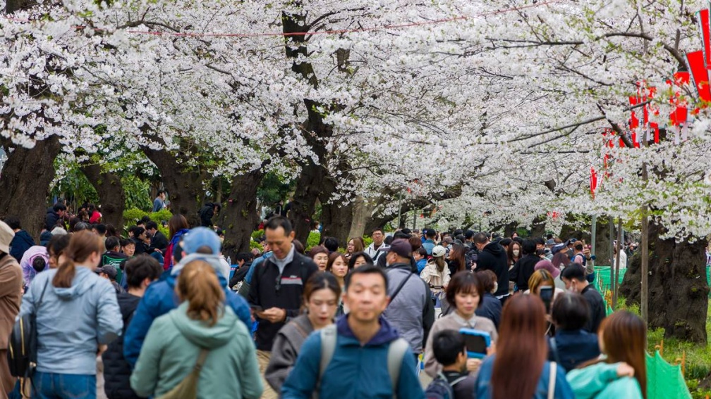 東京景點哪個最失望？台人票選冠軍竟是「它」，網友：都被中國人占據了