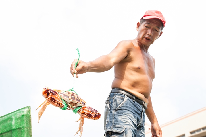 萬里蟹在狂什麼？一篇文神破解