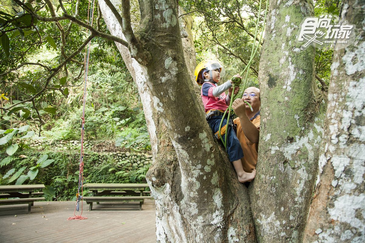 暑假快筆記!全台6個「野外超放電」親子熱點:樹冠層玩滑索、草地滾飛球、小小漆彈營、跟鱷魚拔河 暑假快筆記!全台6個「野外超放電」親子熱點:樹冠層玩滑索、草地滾飛球、小小漆彈營、跟鱷魚拔河