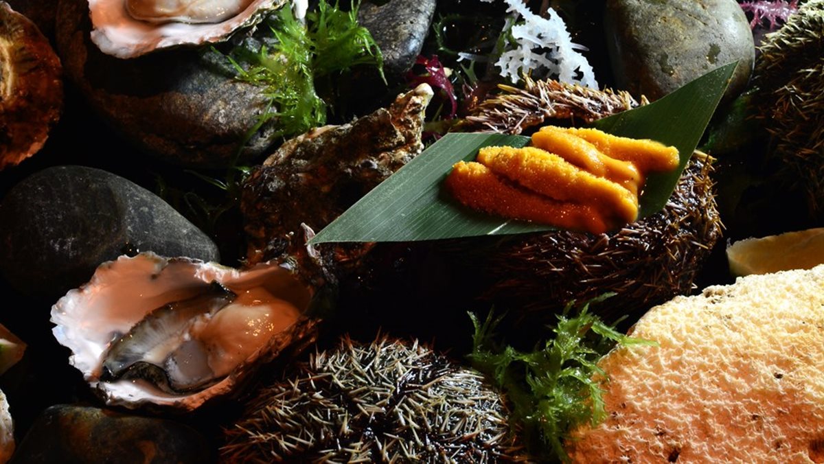 海鮮迷暴動了！飯店推「海鮮宴」馬糞海膽加價200元從6顆升級成12顆