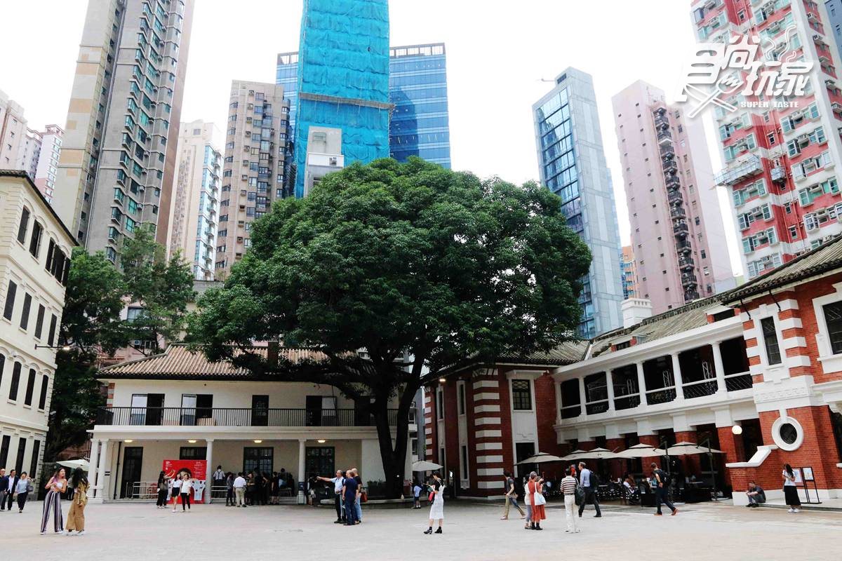 香港打卡新熱點 百年警署監獄「大館」必拍8點中有神祕力量芒果樹 香港打卡新熱點 百年警署監獄「大館」必拍8點中有神祕力量芒果樹