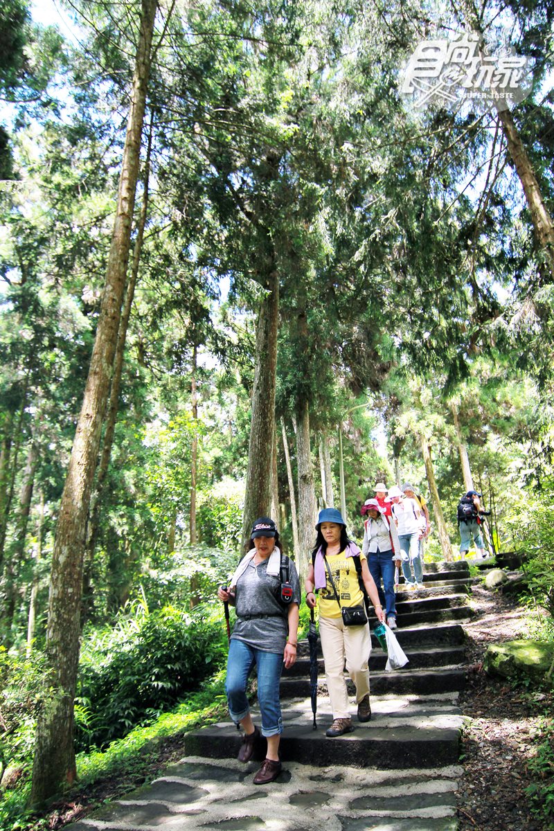 你的畢業旅行在這裡嗎?溪頭大學池、東南亞最大銀杏森林、南投最美小學、竹林隧道 你的畢業旅行在這裡嗎?溪頭大學池、東南亞最大銀杏森林、南投最美小學、竹林隧道