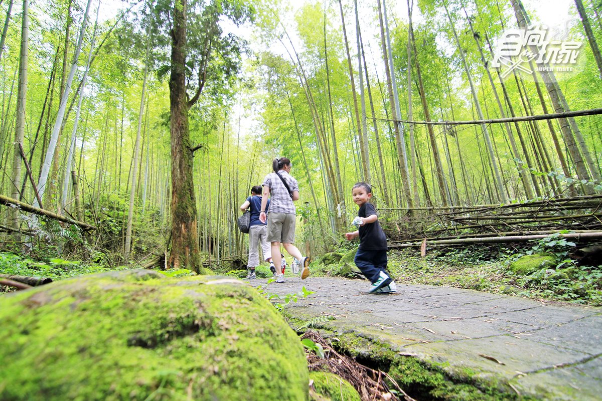你的畢業旅行在這裡嗎?溪頭大學池、東南亞最大銀杏森林、南投最美小學、竹林隧道 你的畢業旅行在這裡嗎?溪頭大學池、東南亞最大銀杏森林、南投最美小學、竹林隧道