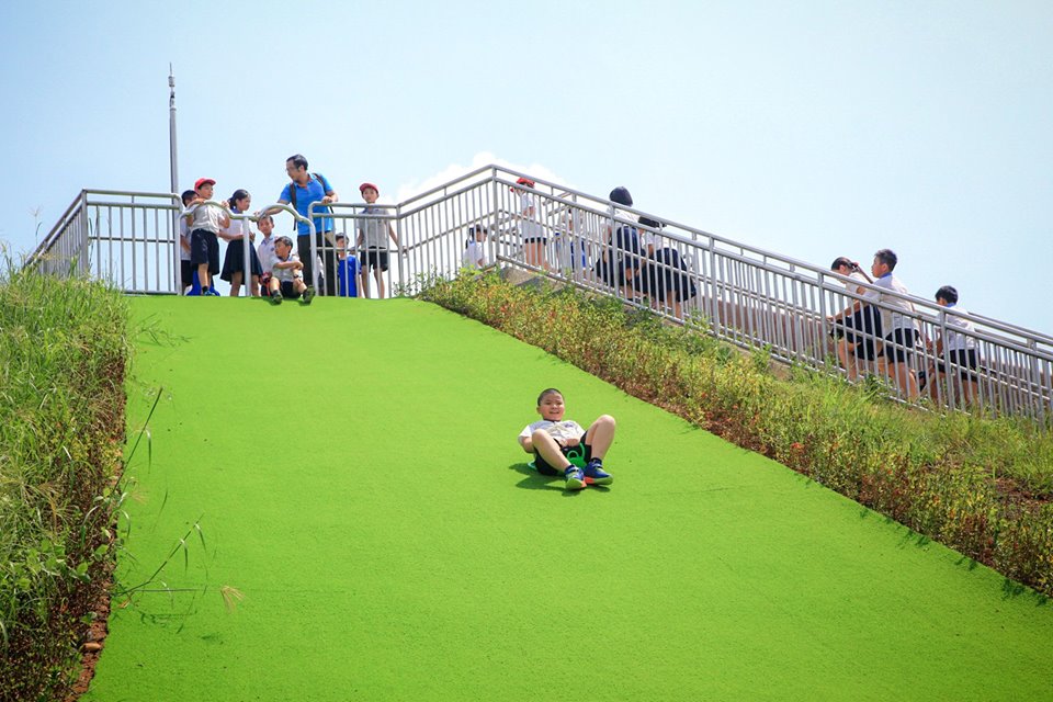 新北市又多一座「新公園」!超大滑草坡道、20公尺彩繪溜滑梯、野外滑索道~玩瘋了 新北市又多一座「新公園」!超大滑草坡道、20公尺彩繪溜滑梯、野外滑索道~玩瘋了