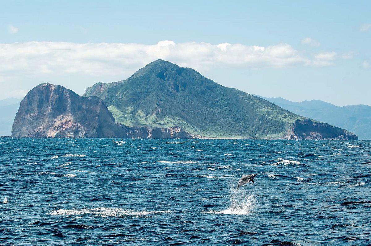 闖進馬告神木森林、與鯨同遊龜山島！飯店暑期特惠活動開跑