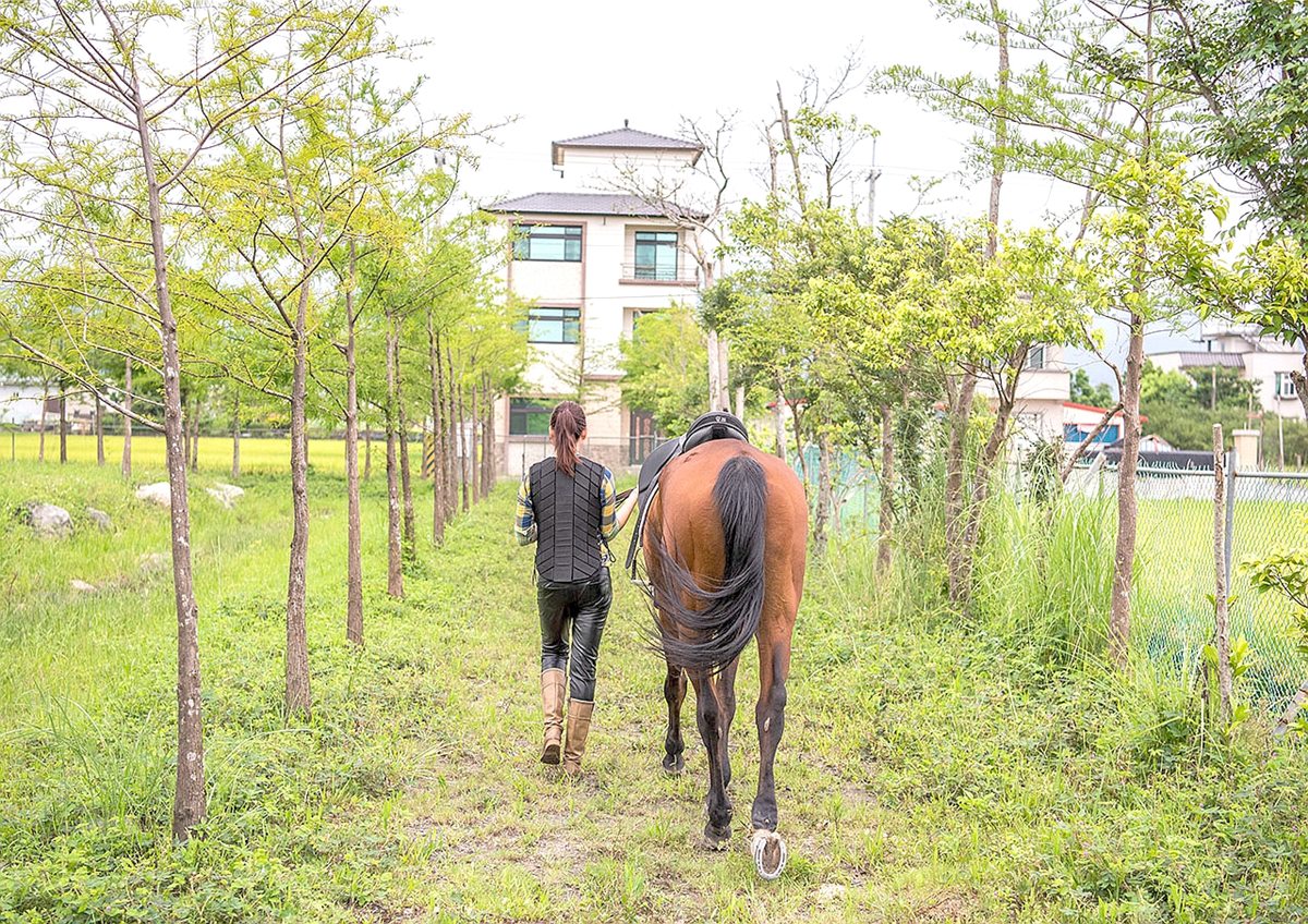 闖進馬告神木森林、與鯨同遊龜山島！飯店暑期特惠活動開跑
