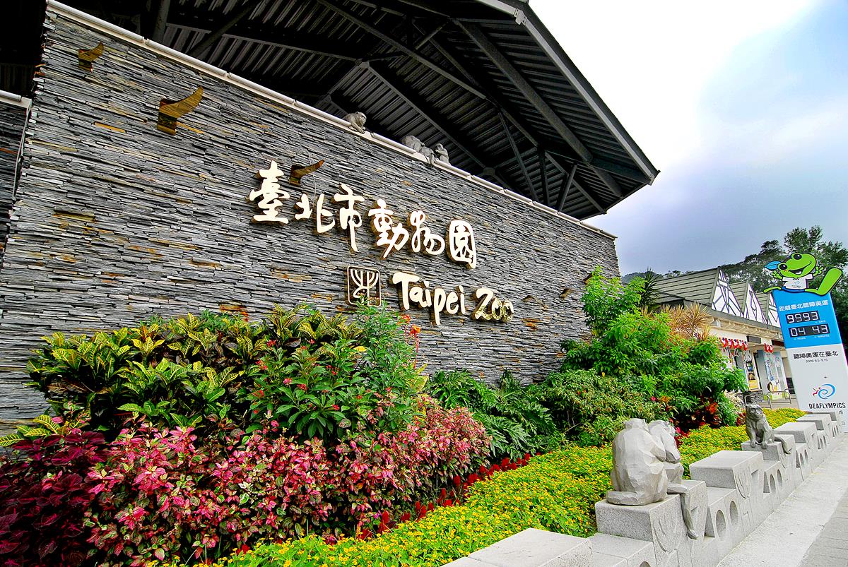 夜遊才有趣！一年只限8天「動物園」暑假夜間遊園開放了