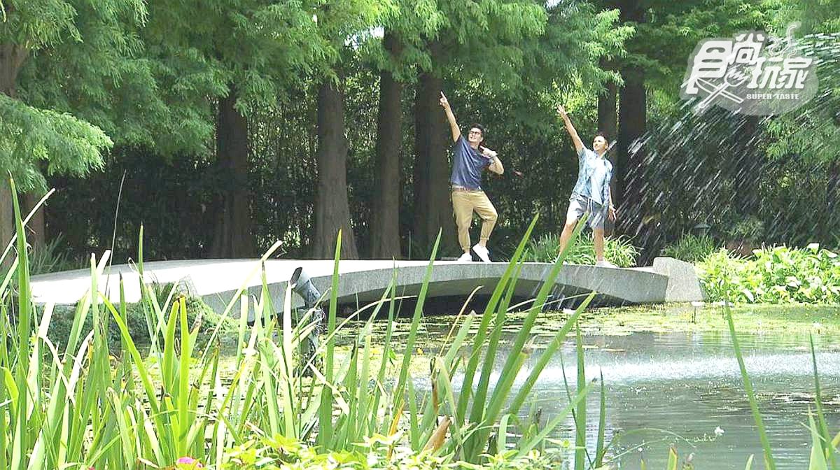 被落羽松包圍的玻璃屋超浪漫！這家庭園咖啡館好吃好拍又好玩