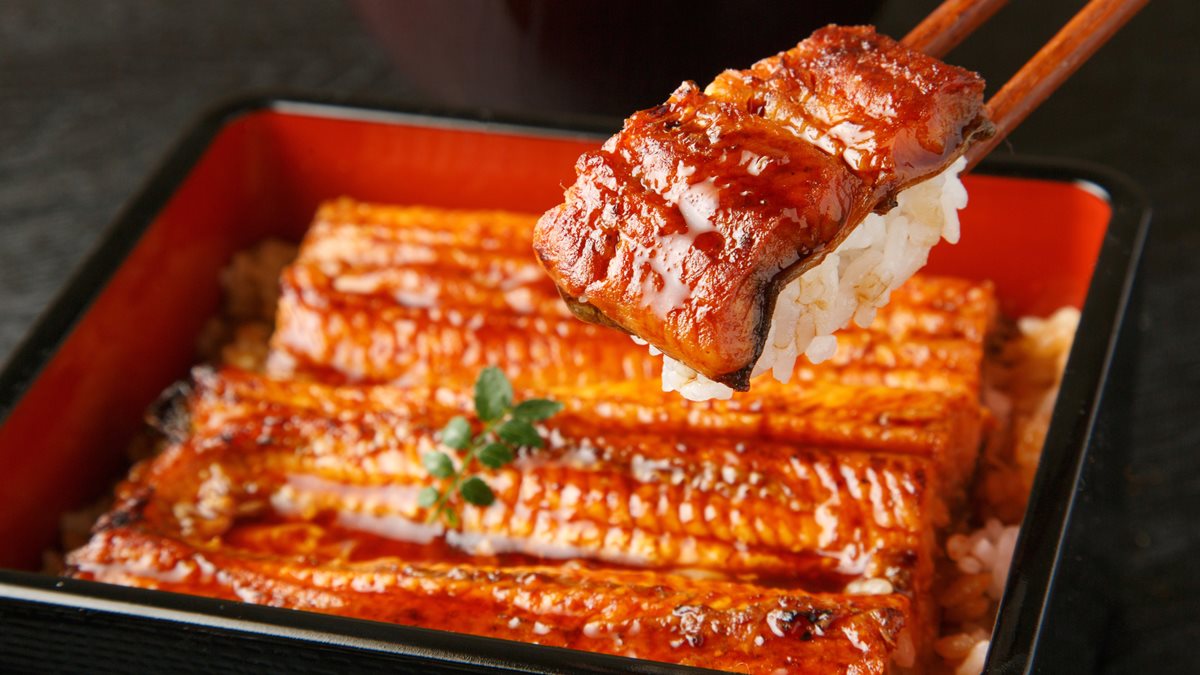 【食尚廚藝課】什麼季節吃饅魚才對？4個步驟教你做日本味「烤鰻魚便當」