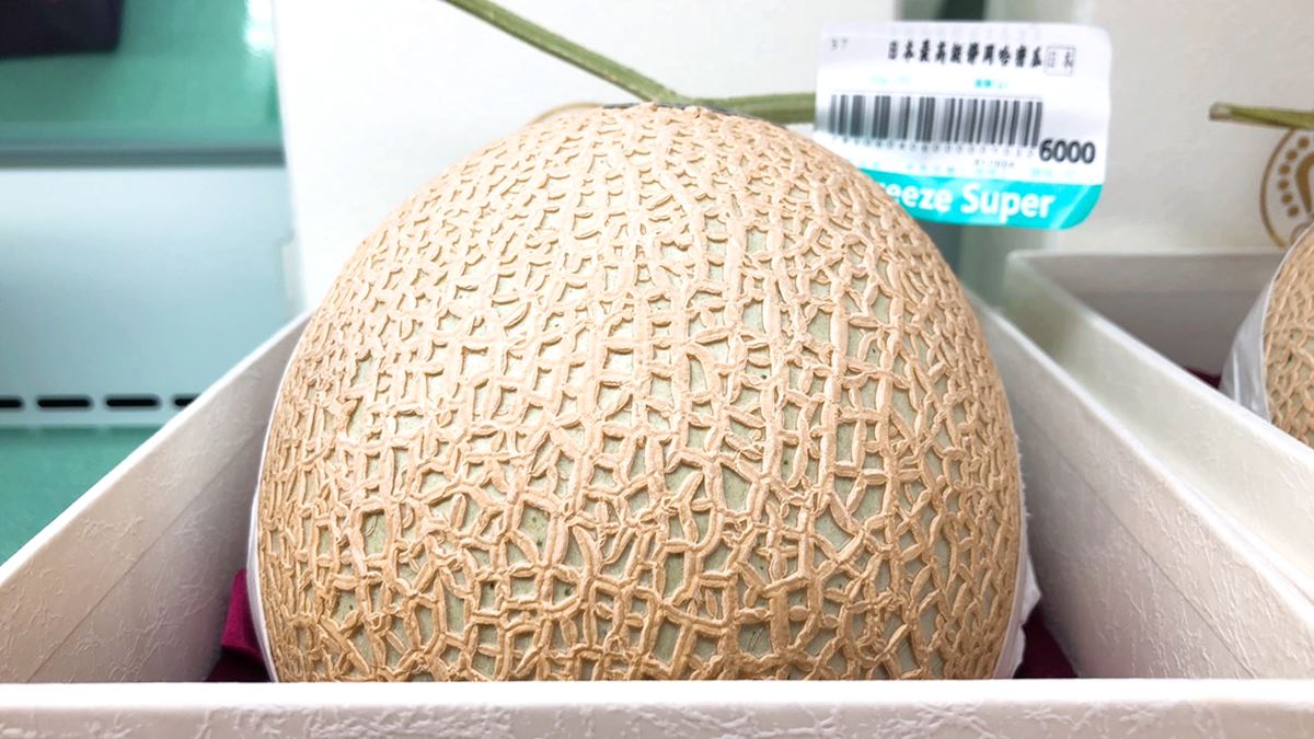 哈密瓜一顆6000元！日本「空運」鑽石級水果，猜猜草莓一盒多少錢？