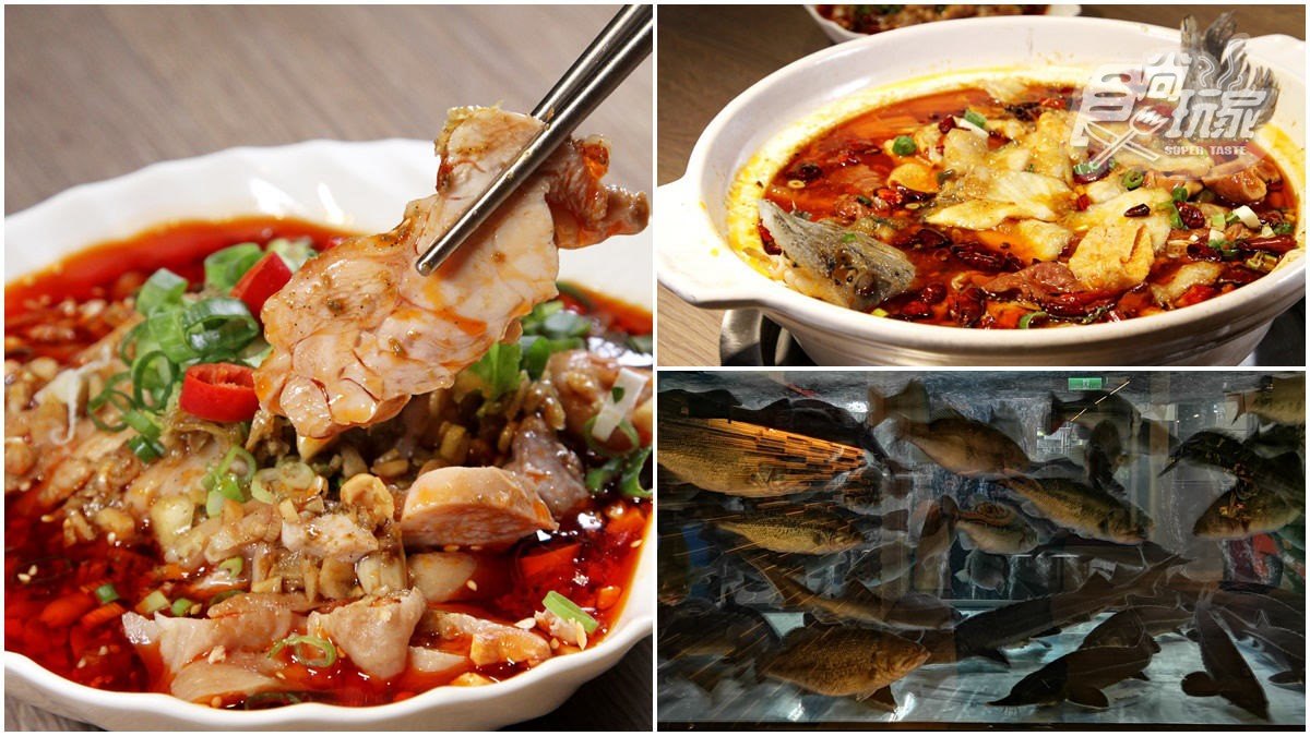 【新開店】麻辣控想衝！20種辛香料「麻辣活魚」現點現撈，挑戰發麻指數