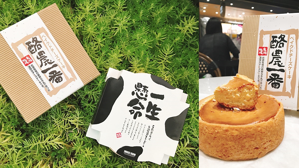日本控瘋掉！北海道超濃「一生懸命蛋糕」、起司控上癮「酪農一番」，期間快閃這裡吃