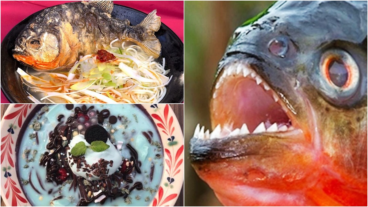 口味無極限！食人魚、珍珠薄荷巧克力變拉麵，限時限量勇者快來吃