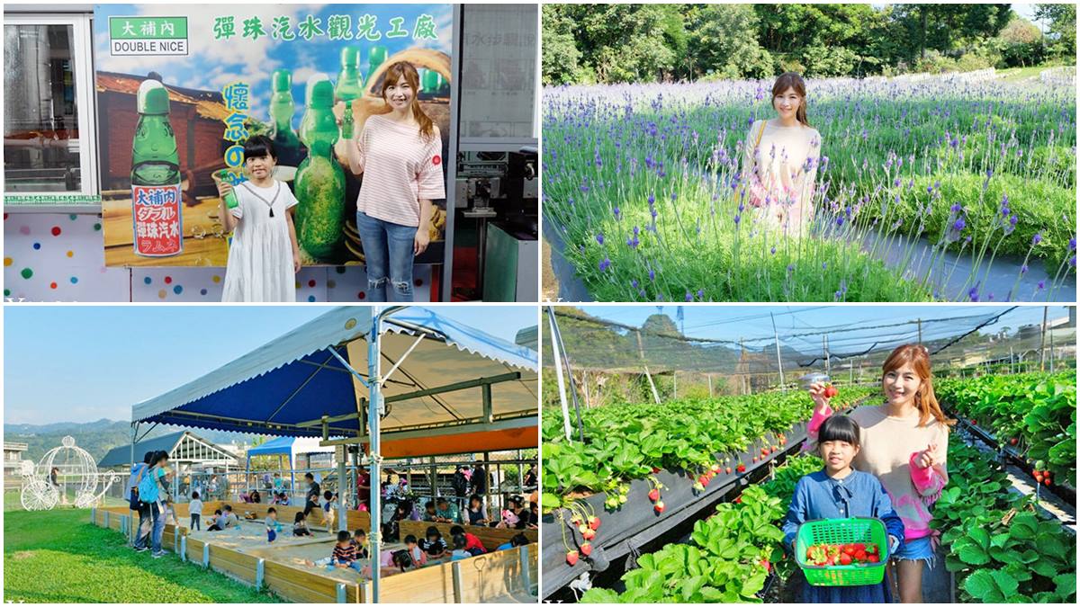 苗栗親子遊5打卡點：大湖採牛奶草莓、汽水工廠喝到飽、美拍薰衣草花田
