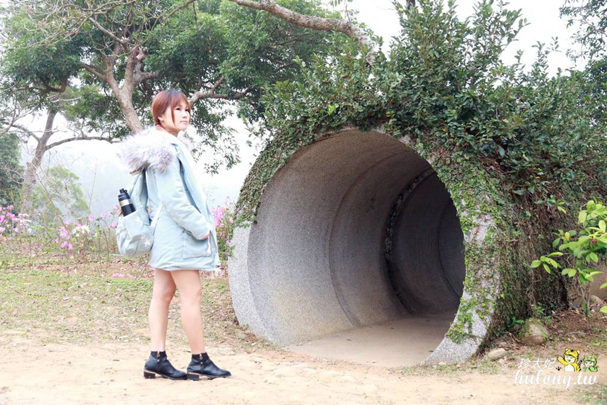 遛小孩必衝！苗栗５大親子打卡點：恐龍溜滑梯、花田小火車、小白兔童趣布景