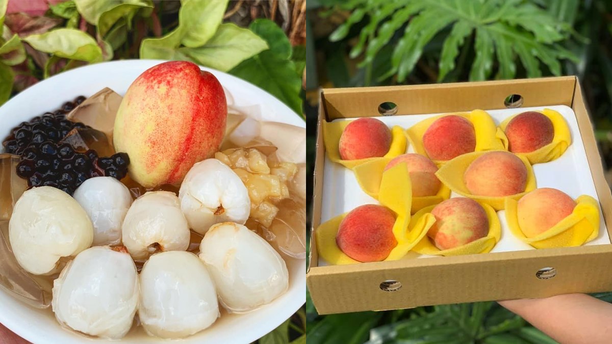 台南無極限！「整顆水蜜桃＋肥美荔枝」愛玉冰，把握最後14天快衝