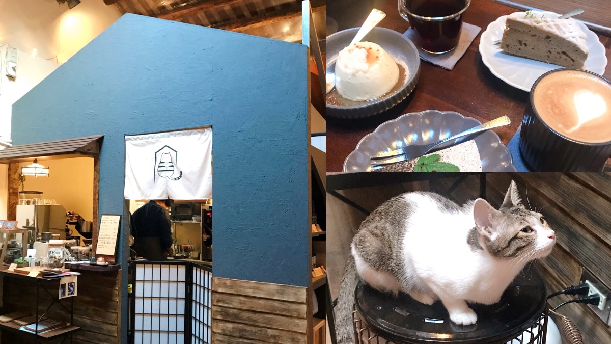 【新開店】貓奴快私藏！台版小京都「弄宅 」獨家大人布丁、金澤手沖咖啡，還有萌喵等門