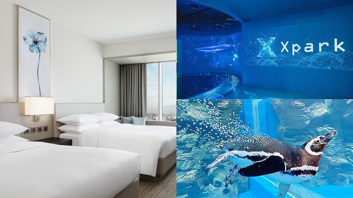 2大飯店「買一晚送一晚」！近3折爽住水族館live打卡房，還送Xpark門票