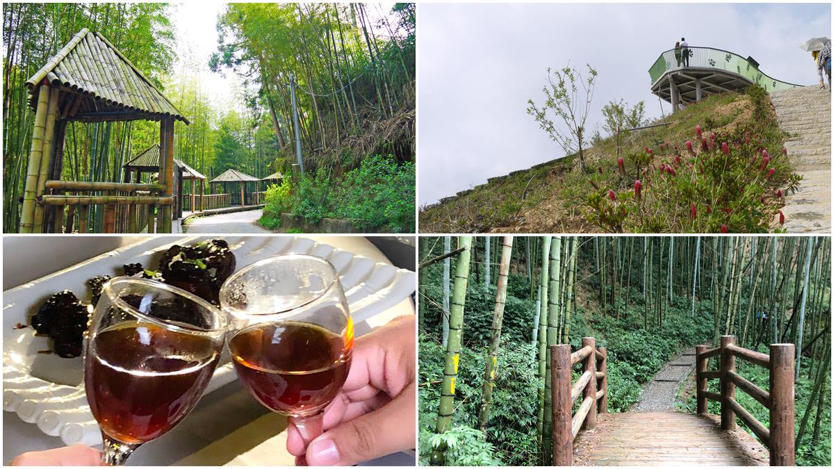 雲林祕境1日遊！天空之城看雲海、美拍台版嵐山，還能順路喝世界冠軍咖啡