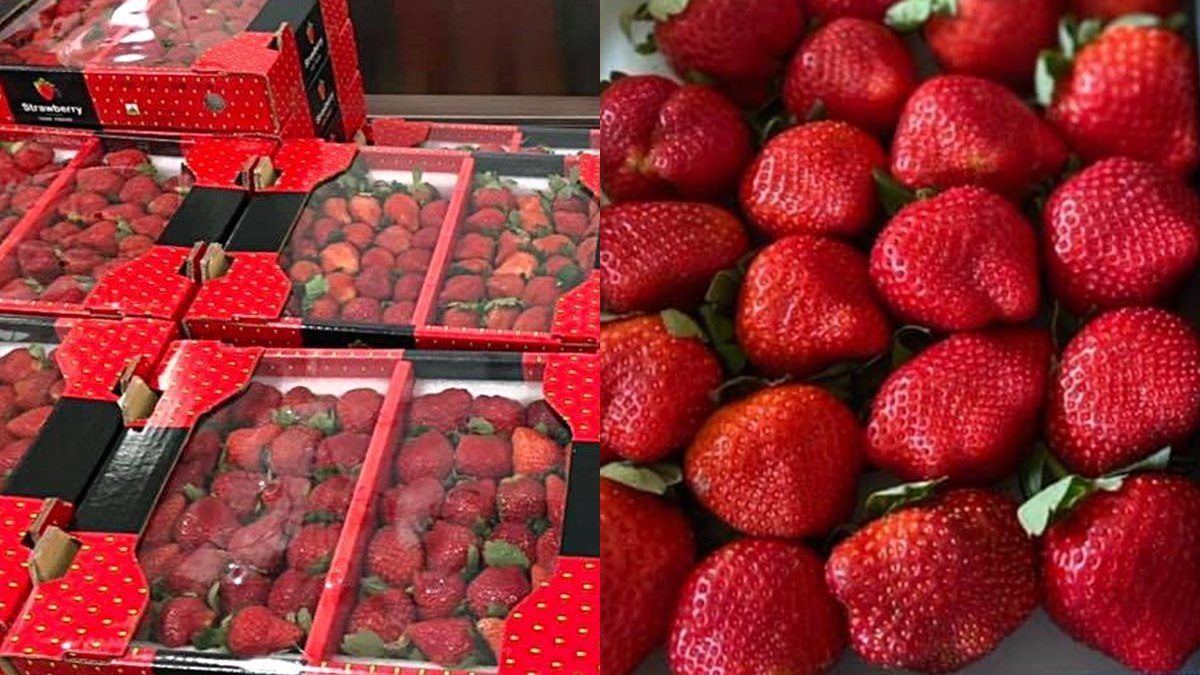 先別管黑色購物節！好市多鮮紅「大湖草莓」上架，網稱：「終於來了」