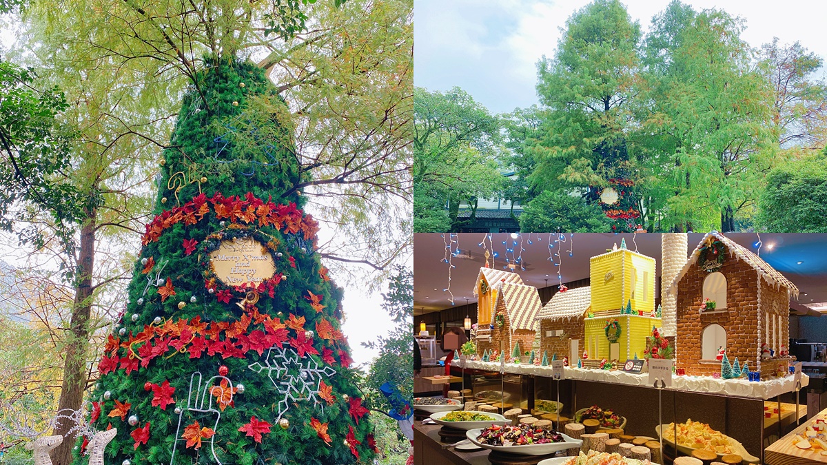 全台唯一「落羽松耶誕樹」！森林版「新北耶誕城」泡湯邊拍，還有海陸大餐、吃到飽爽嗑