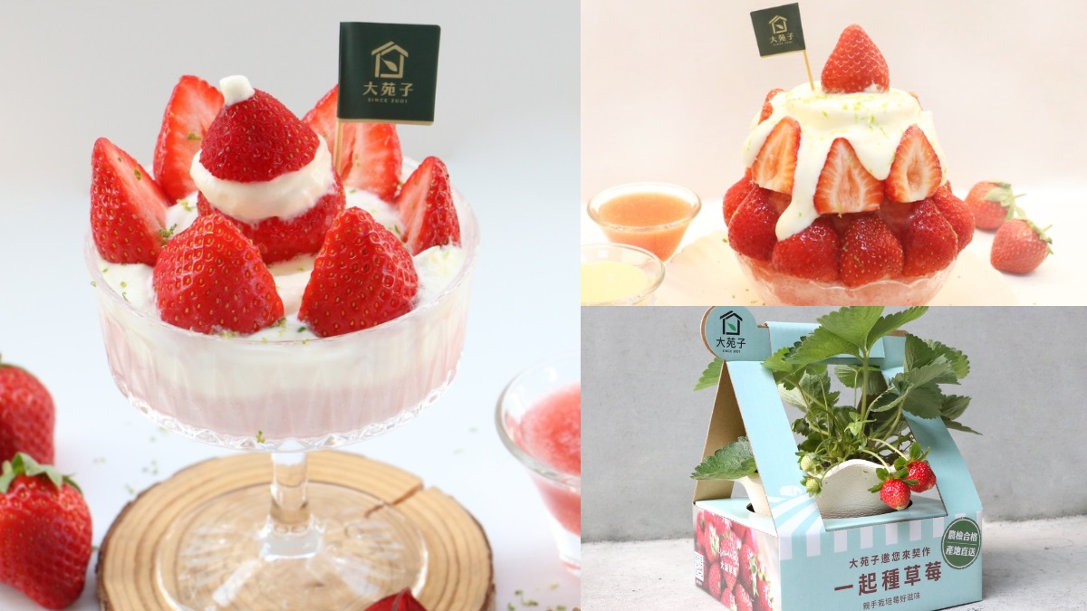 滿滿草莓+鹹奶霜最誘人！大苑子「最狂草莓季」再推2款全新冰品，還能自己種草莓