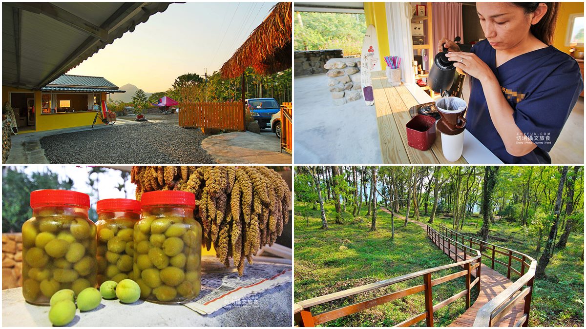 假日限定！庭園咖啡廳喝「自種自烘」手沖配山林美景，還能買自釀脆梅當伴手