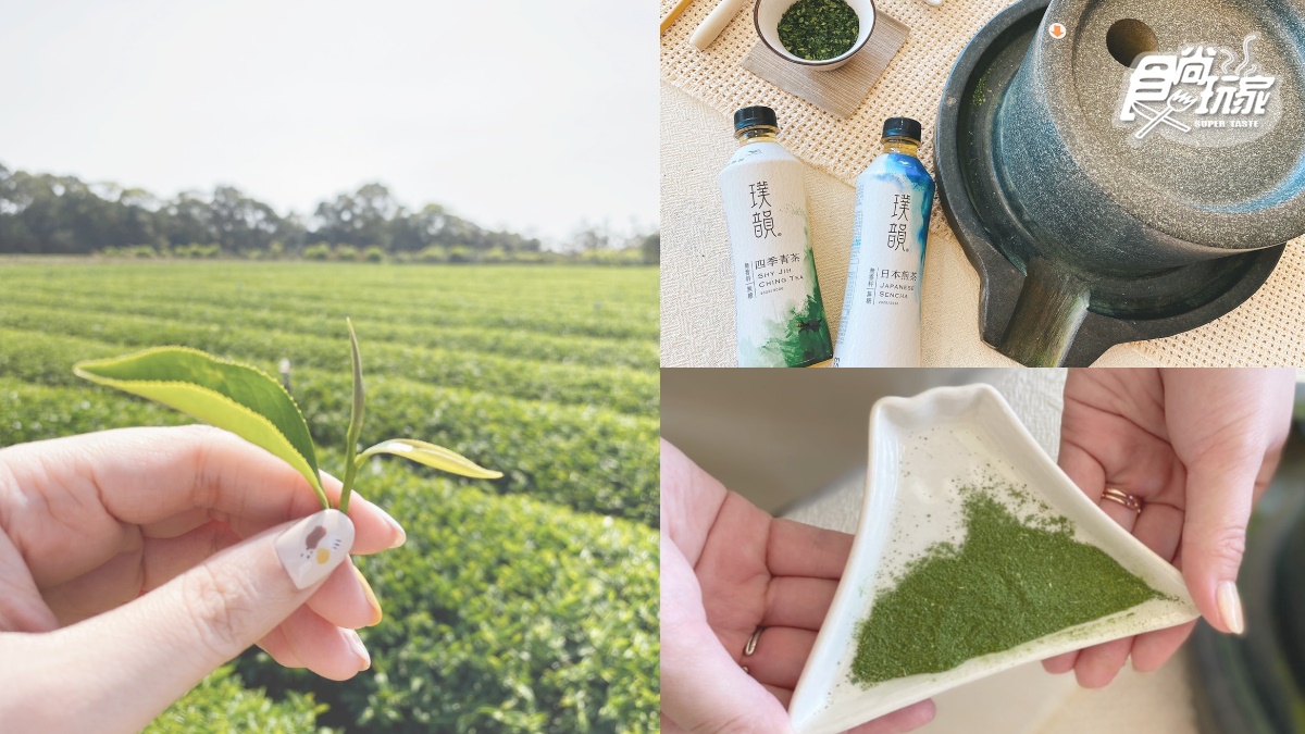 茶飲控請進！食尚小編直擊IG暴紅「文青茶」產地，日本煎茶、台灣青茶口感大比拚
