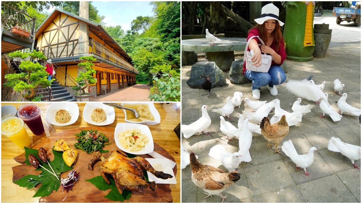 來玩整天！台南休閒農場能餵小動物、嗑Q彈烤土雞+百變竹筍餐，還可住歐風別墅