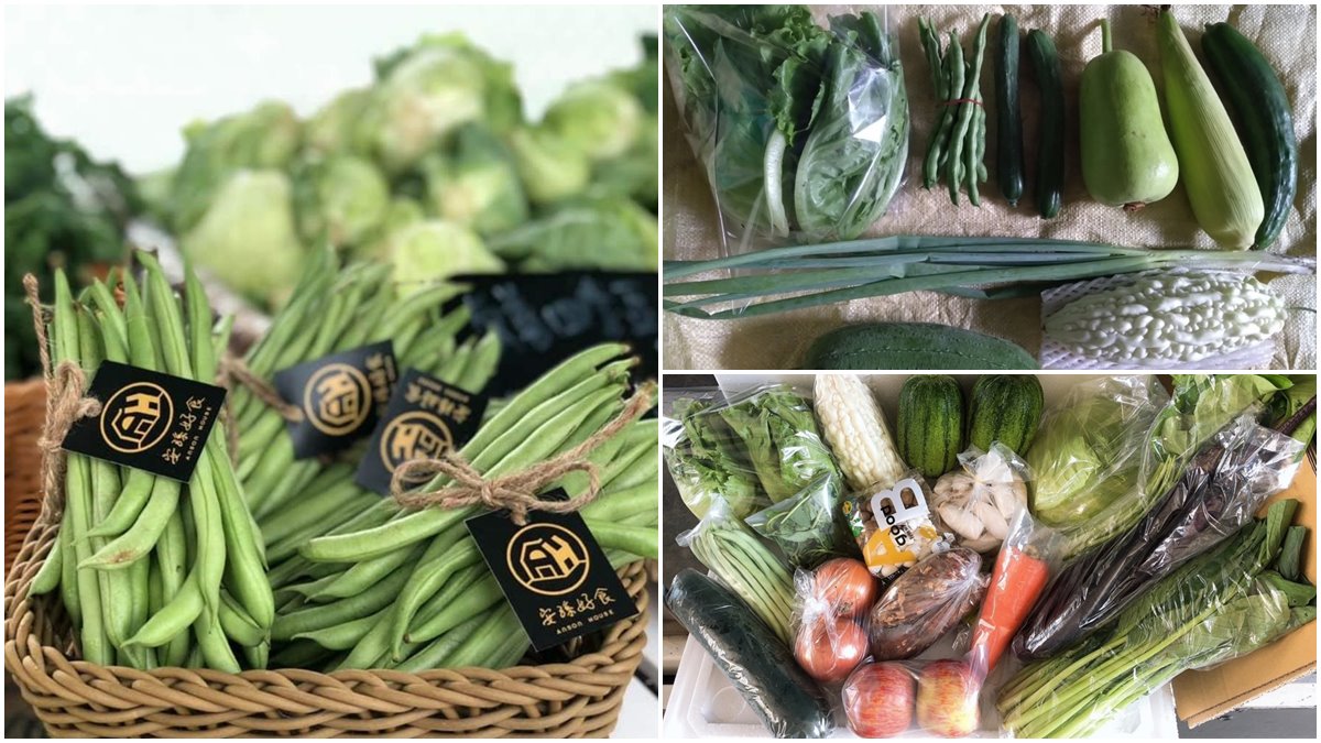 宜蘭人快收！５家在地「小農蔬菜箱」新鮮直送，有機蔬果、防疫乾貨一次備齊