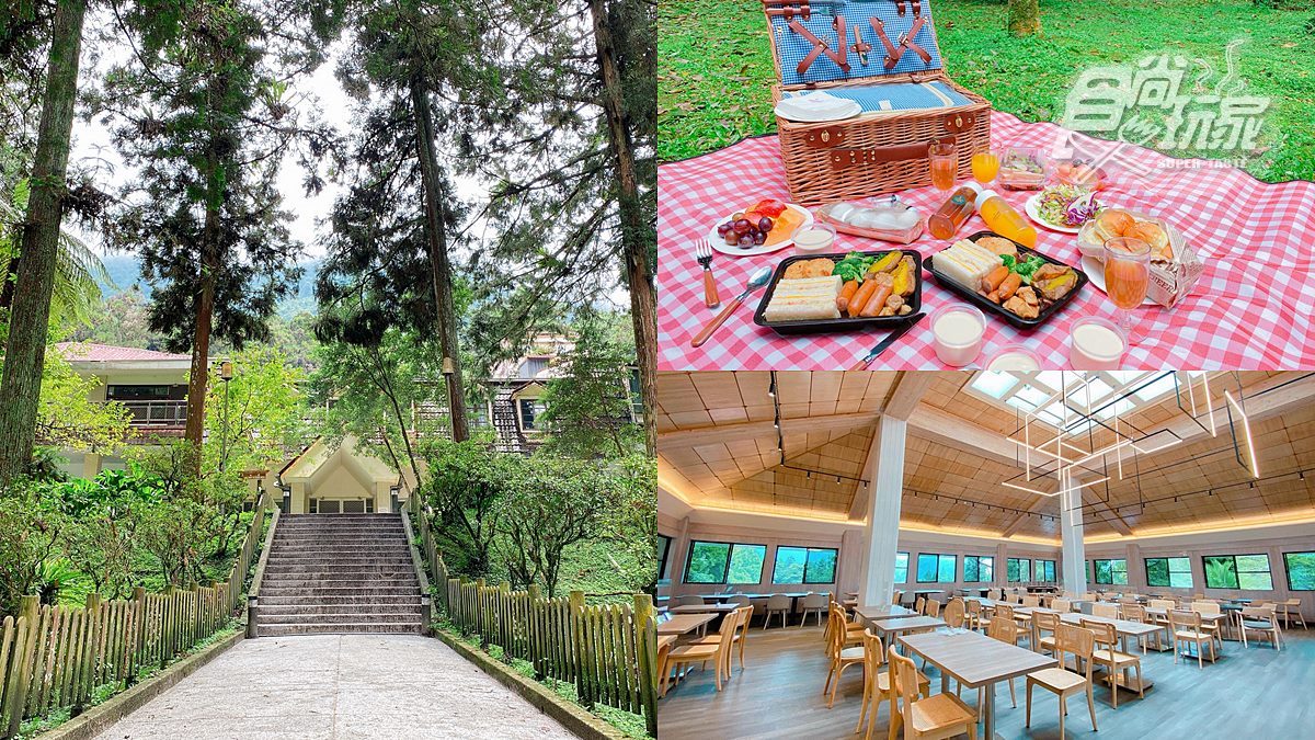 全台最美森林唯一飯店！打卡必拍無敵山景、松鼠一起野餐，每人每晚最低900元