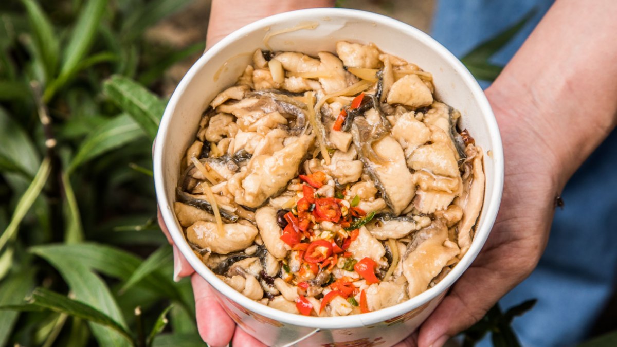 紅到韓國去！三重超夯「虱目魚蓋飯」肉堆到滿出來，招牌「豆豉魚頭」也必點