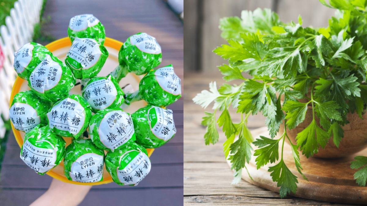 香菜控站出來！超巨大「香菜棒棒糖」12支一次擁有，清爽酸甜太欠吃