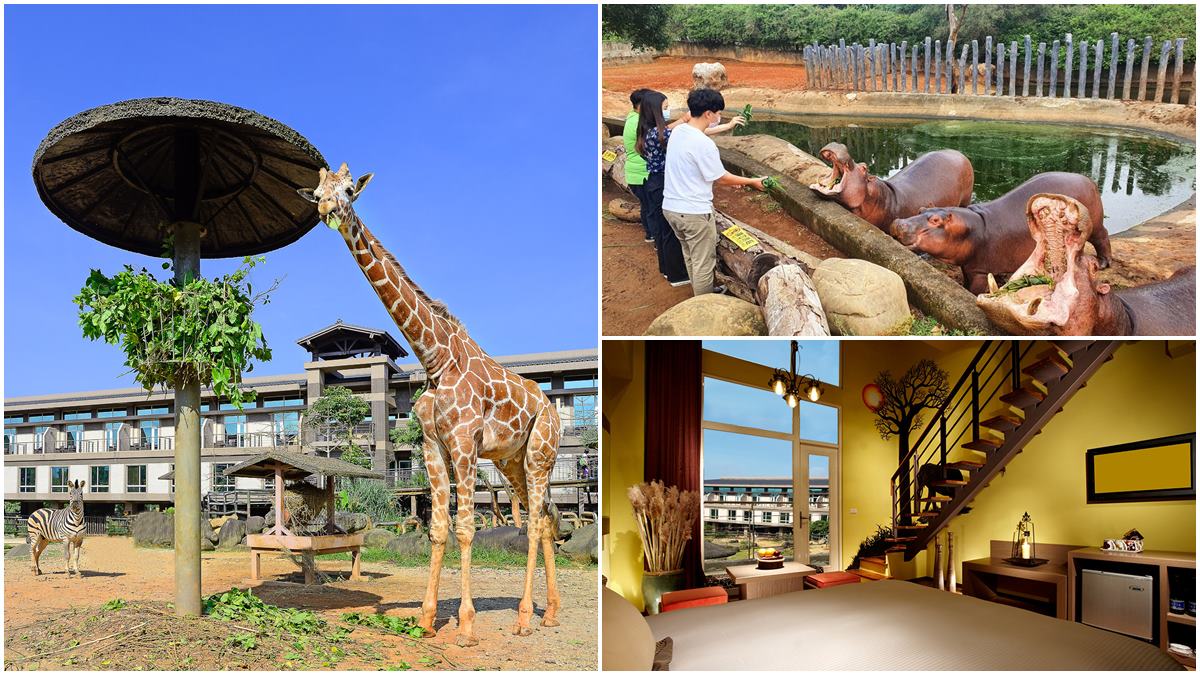 ３折爽住動物園飯店、吃到飽近半價！３大飯店好康一次看，還有首創河馬餵食