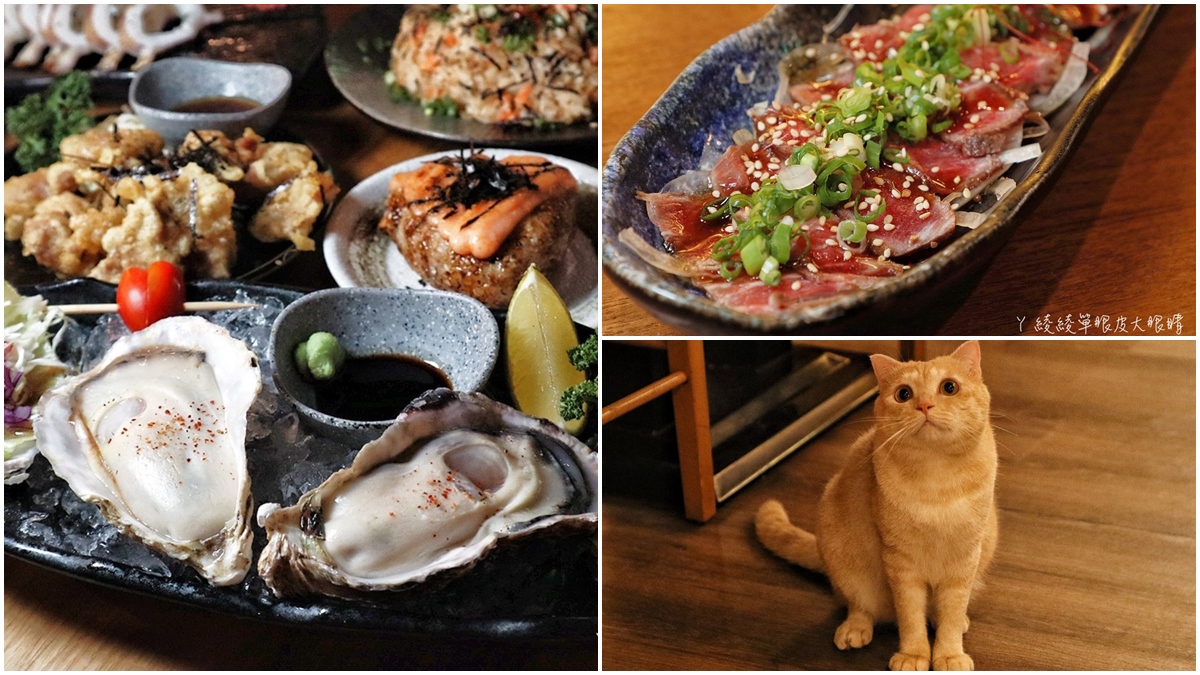 超萌店寵陪吃！新竹深夜居酒屋必吃肥美「廣島生蠔」，和風醬生牛肉入口即化