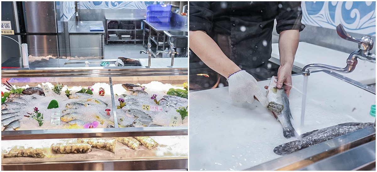 【新開店】對身分證送帝王蟹、龍蝦!600坪水產市場超好買,現吃九宮格生魚片 【新開店】對身分證送帝王蟹、龍蝦!600坪水產市場超好買,現吃九宮格生魚片