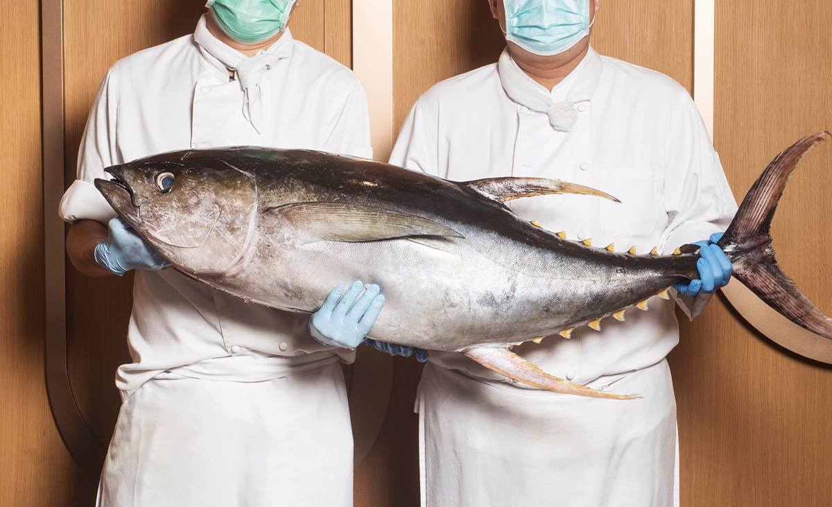 現省200元螃蟹吃到飽!超過30種飯店海鮮無限拿,加碼「整尾鮪魚」現切 現省200元螃蟹吃到飽!超過30種飯店海鮮無限拿,加碼「整尾鮪魚」現切