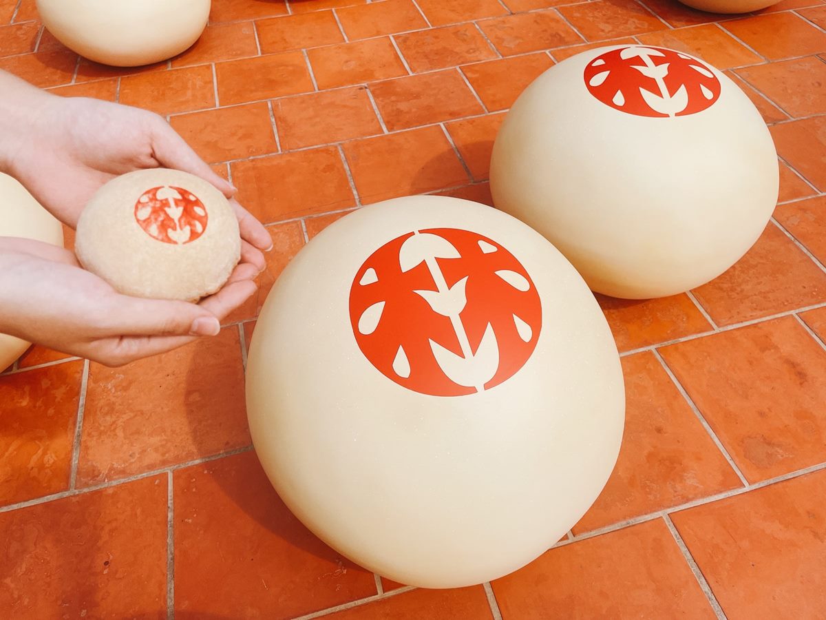 台南「巨型椪餅群」出現林百貨！百年經典「林椪餅」必買，還有老店體驗可玩