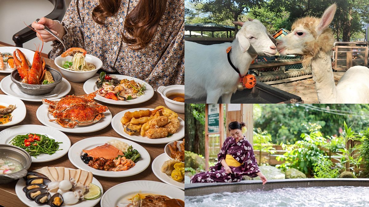 27組身分證限定！不到半價爽住台南飯店，還有買一送一、動物園門票優惠