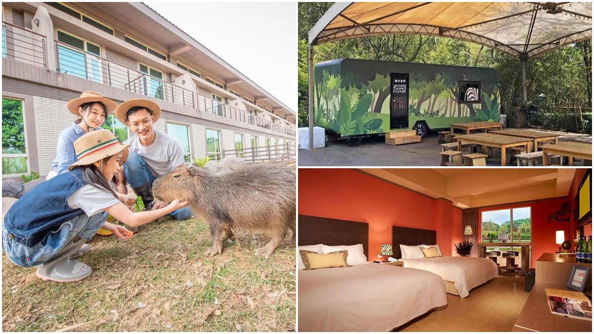４人同行２人免費！爽住全台最大動物園飯店，還有全新「派對車廂」搶先體驗