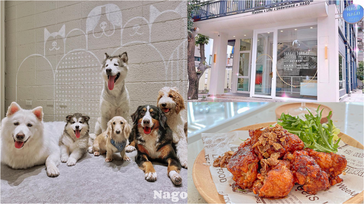 ８萌狗坐鎮！打卡台中超夯「白色系」寵物餐廳，雪橇犬、哈士奇一次擄獲