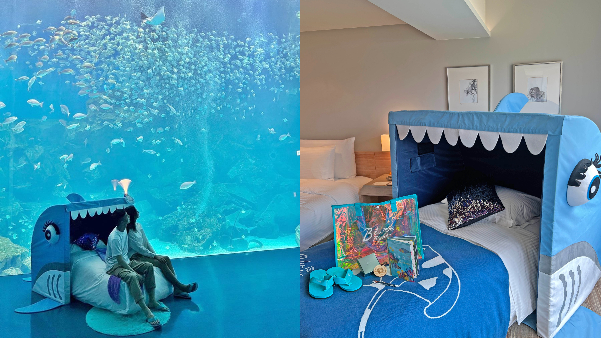 「夜宿水族館床」搬進房！住24小時躺Ｑ版鯊魚打卡，還可免費帶走海洋系周邊